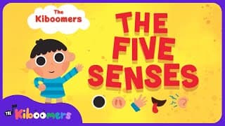 Thumbnail for Five Senses - The Kiboomers Kids Learning Songs For Circle Time - Body Parts Song